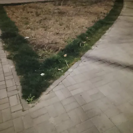 Bacano * Dénia